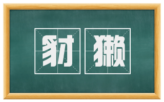 豺獭