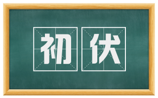 初伏