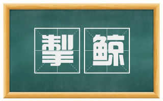 掣鲸