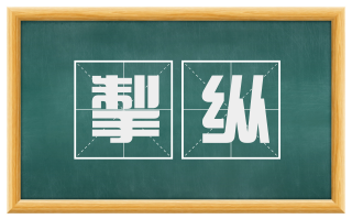掣纵