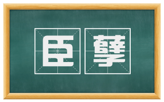 臣孽