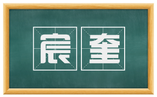宸奎