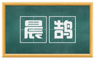 晨鹄