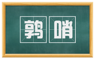 鹑哨