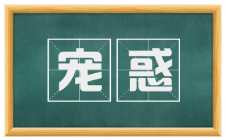 宠惑