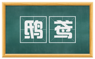 鸱鸢