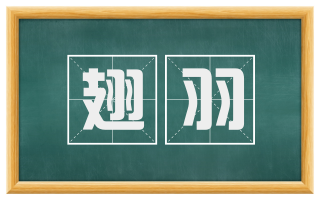 翅羽