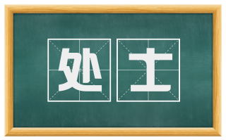 处士