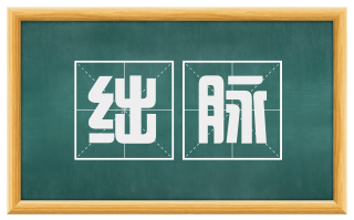 绌脉