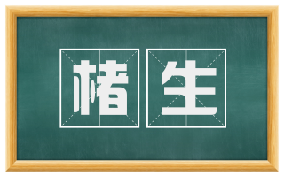 楮生