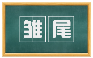 雏尾