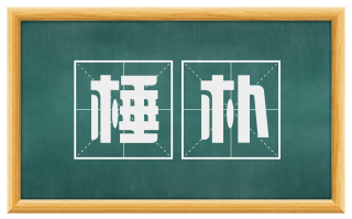 棰朴