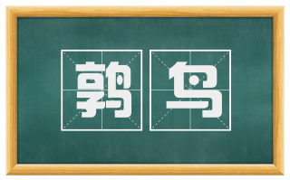 鹑鸟