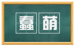 蠢萌