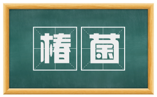 椿菌