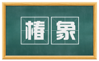 椿象
