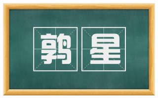鹑星