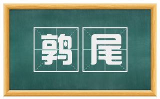 鹑尾