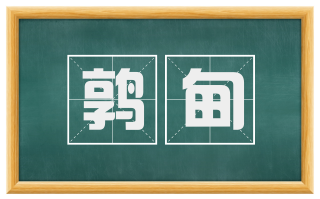 鹑甸