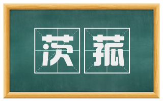 茨菰