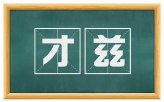 才兹