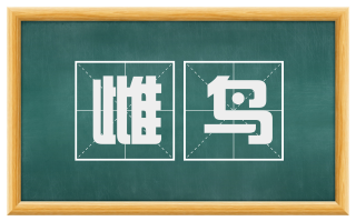 雌鸟