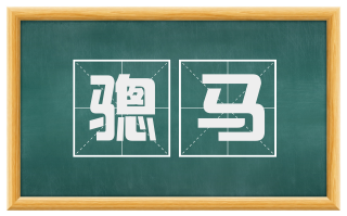 骢马