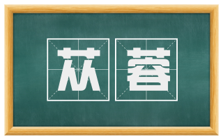 苁蓉