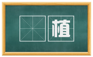 欑植