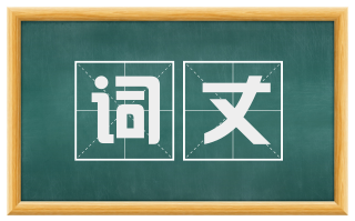 词丈