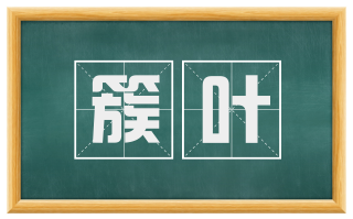 簇叶