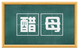 醋母