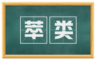萃类