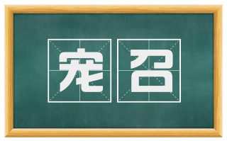宠召
