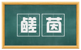 鹾茵