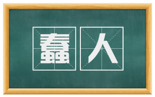 蠢人