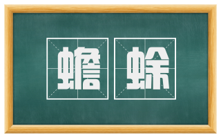 蟾蜍