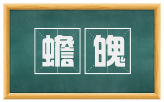 蟾魄