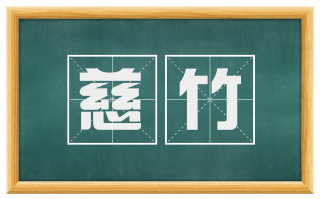 慈竹
