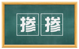 掺掺