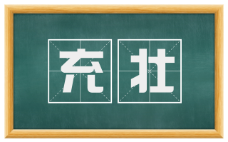 充壮