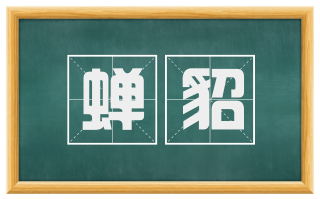 蝉貂