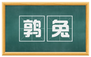鹑兔