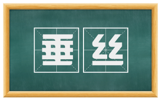 垂丝