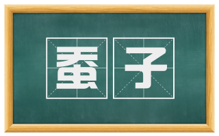 蚕子