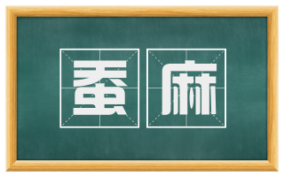 蚕麻