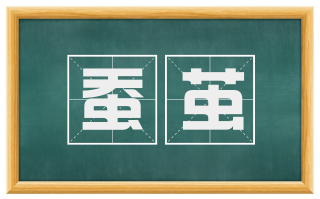 蚕茧