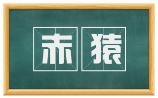赤猿