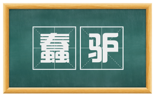蠢驴