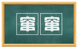 窜窜